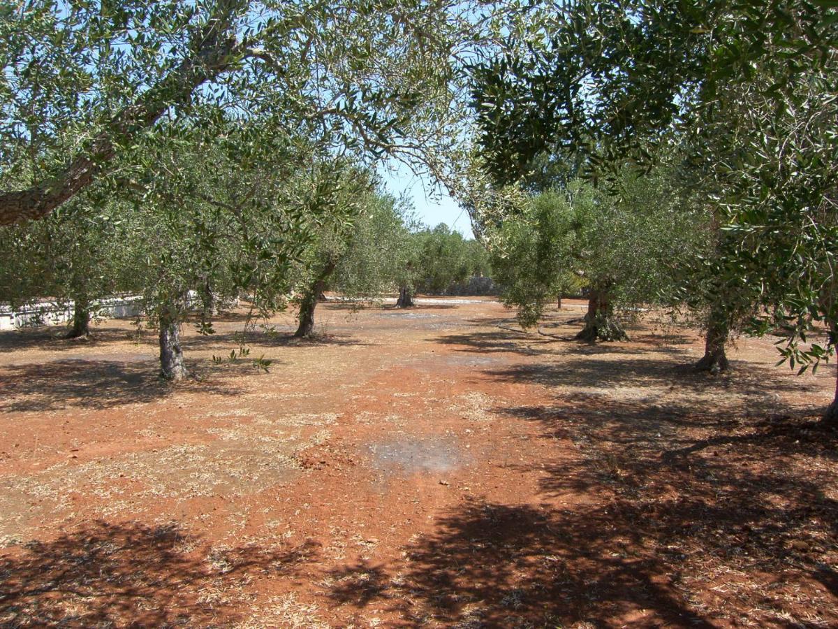 Villa Miliceddu Tricase Εξωτερικό φωτογραφία