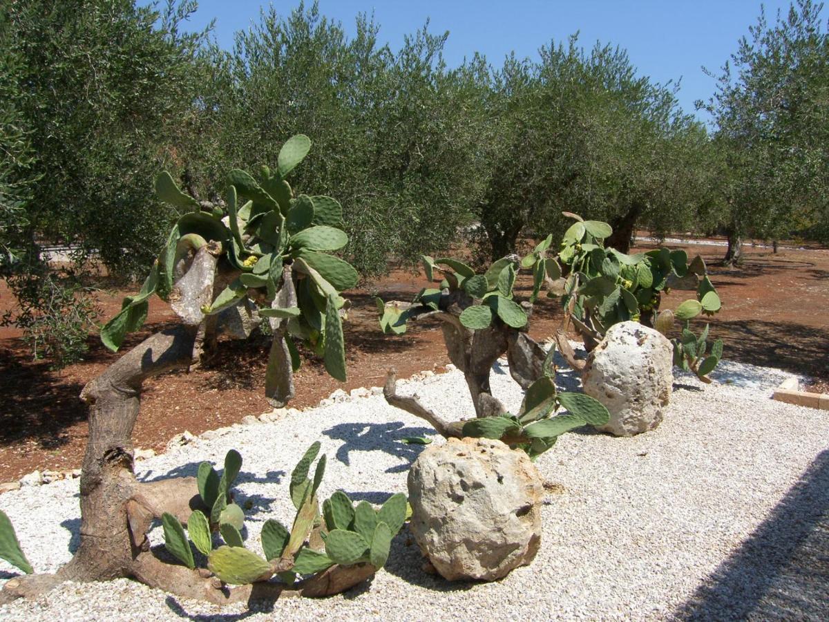 Villa Miliceddu Tricase Εξωτερικό φωτογραφία